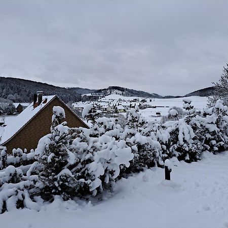 Sauerland-Tinyworld - Ihr Tiny Ferienhaus Im Sauerland Am Diemelsee Экстерьер фото