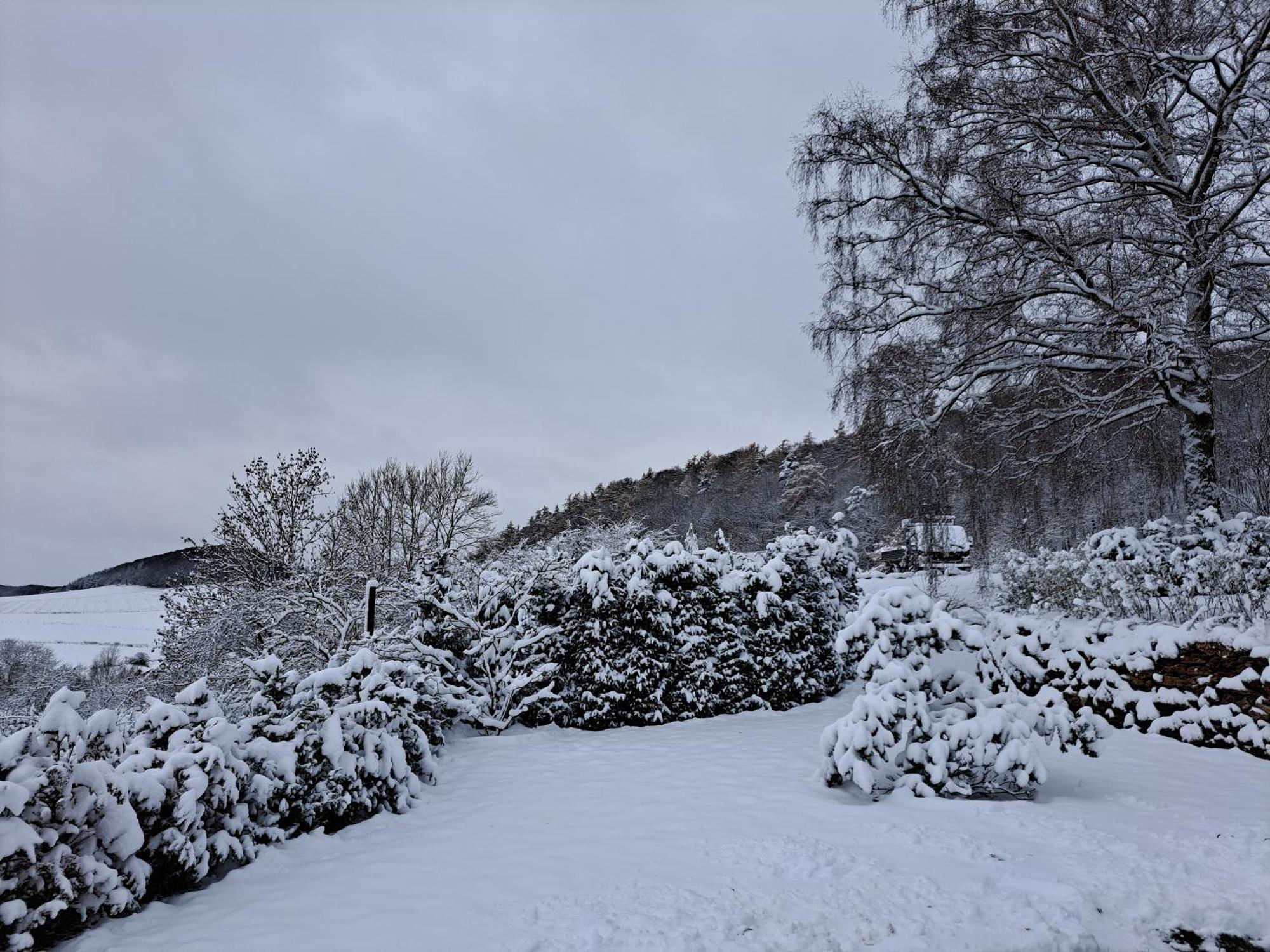 Sauerland-Tinyworld - Ihr Tiny Ferienhaus Im Sauerland Am Diemelsee Экстерьер фото