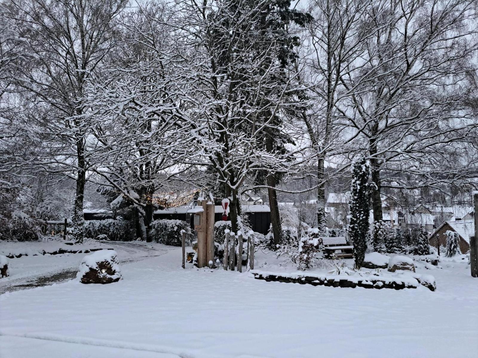 Sauerland-Tinyworld - Ihr Tiny Ferienhaus Im Sauerland Am Diemelsee Экстерьер фото