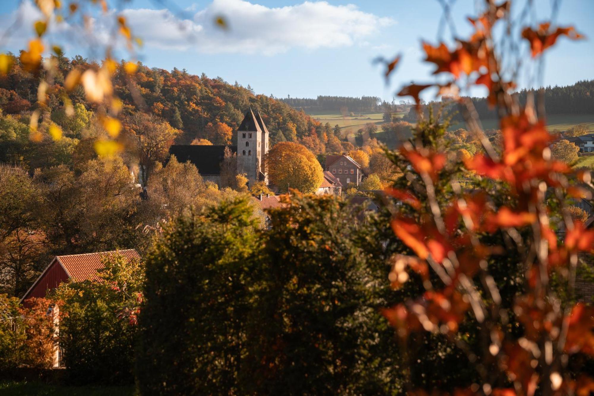 Sauerland-Tinyworld - Ihr Tiny Ferienhaus Im Sauerland Am Diemelsee Экстерьер фото