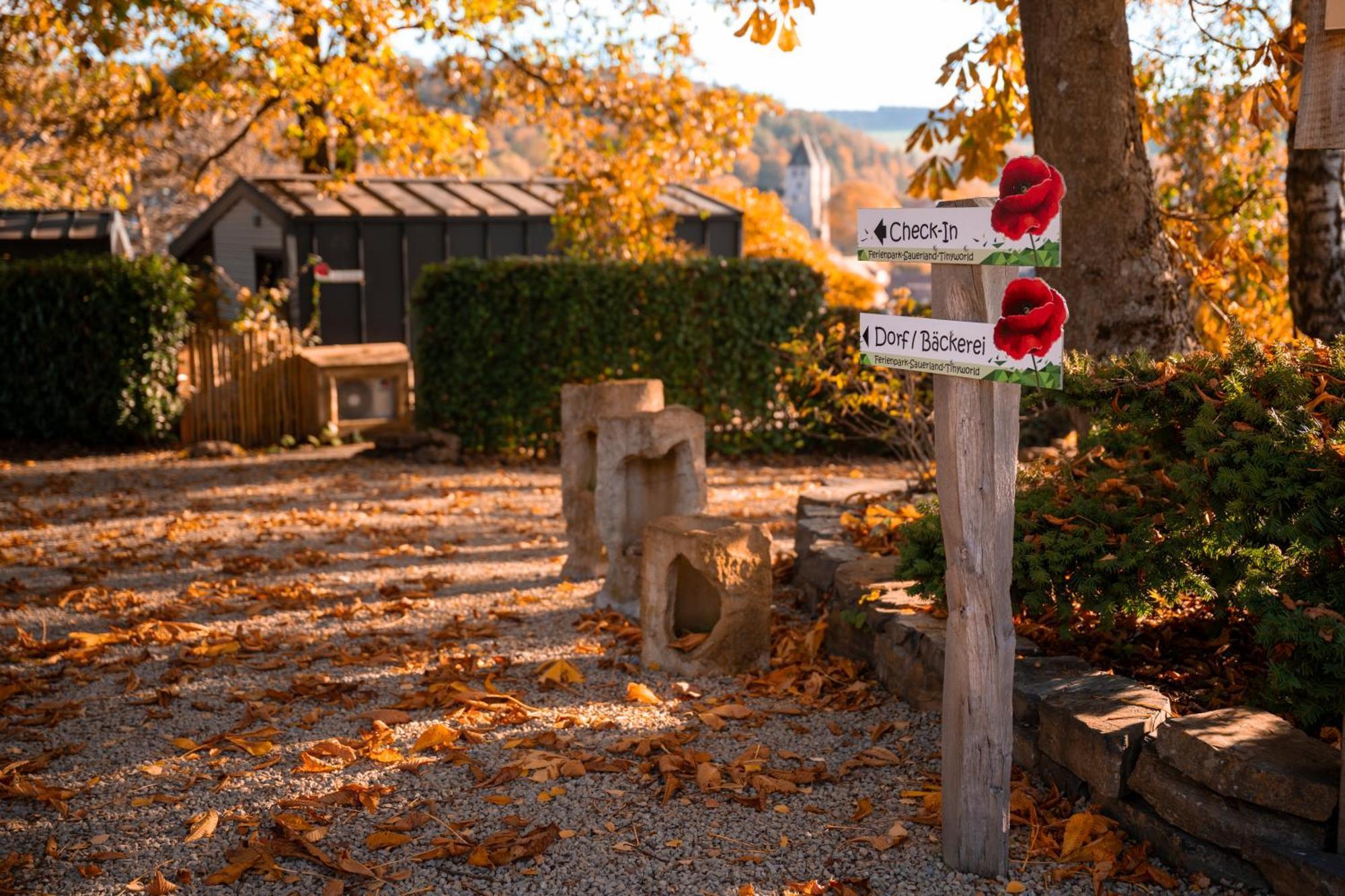Sauerland-Tinyworld - Ihr Tiny Ferienhaus Im Sauerland Am Diemelsee Экстерьер фото