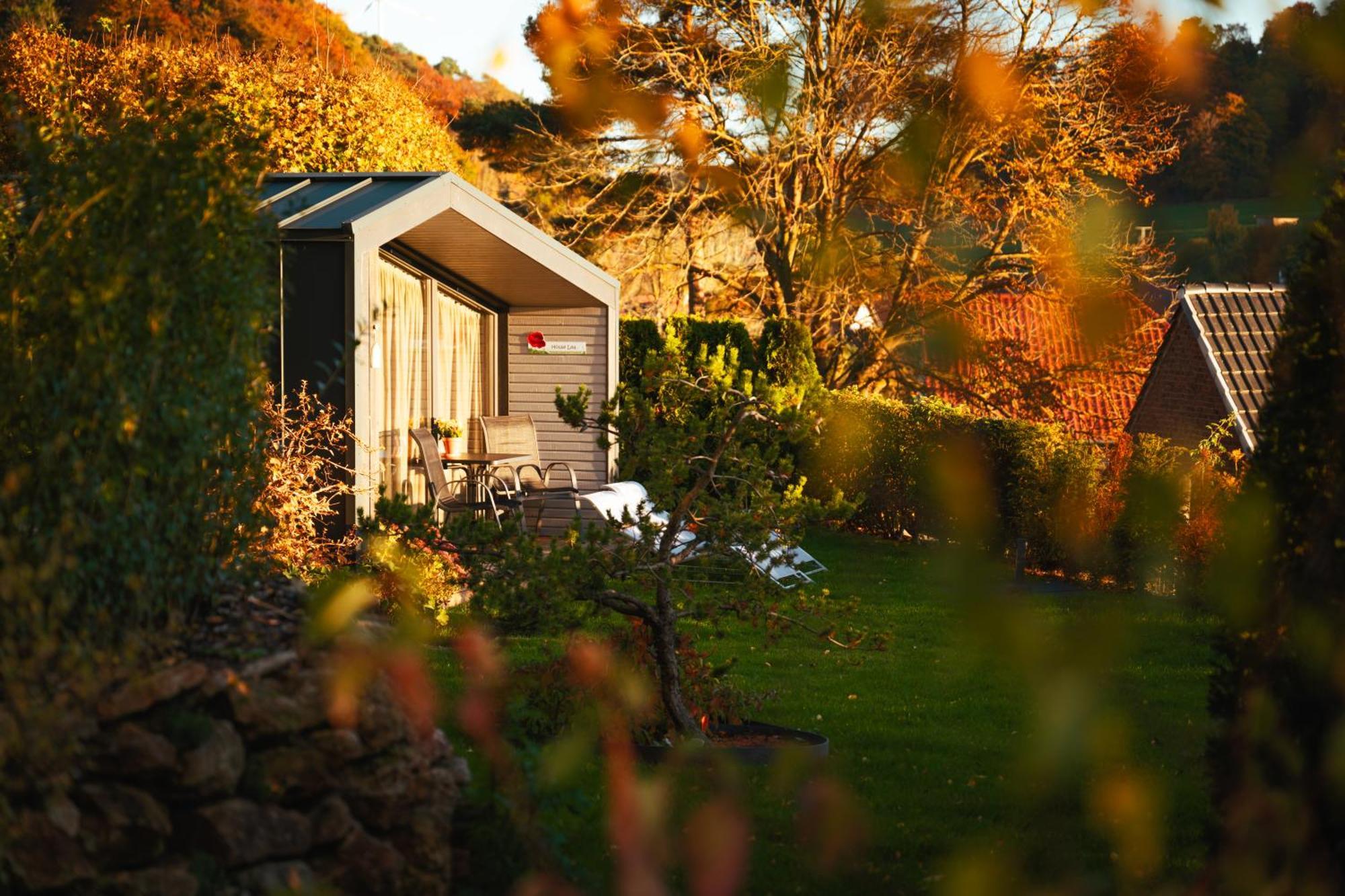 Sauerland-Tinyworld - Ihr Tiny Ferienhaus Im Sauerland Am Diemelsee Экстерьер фото