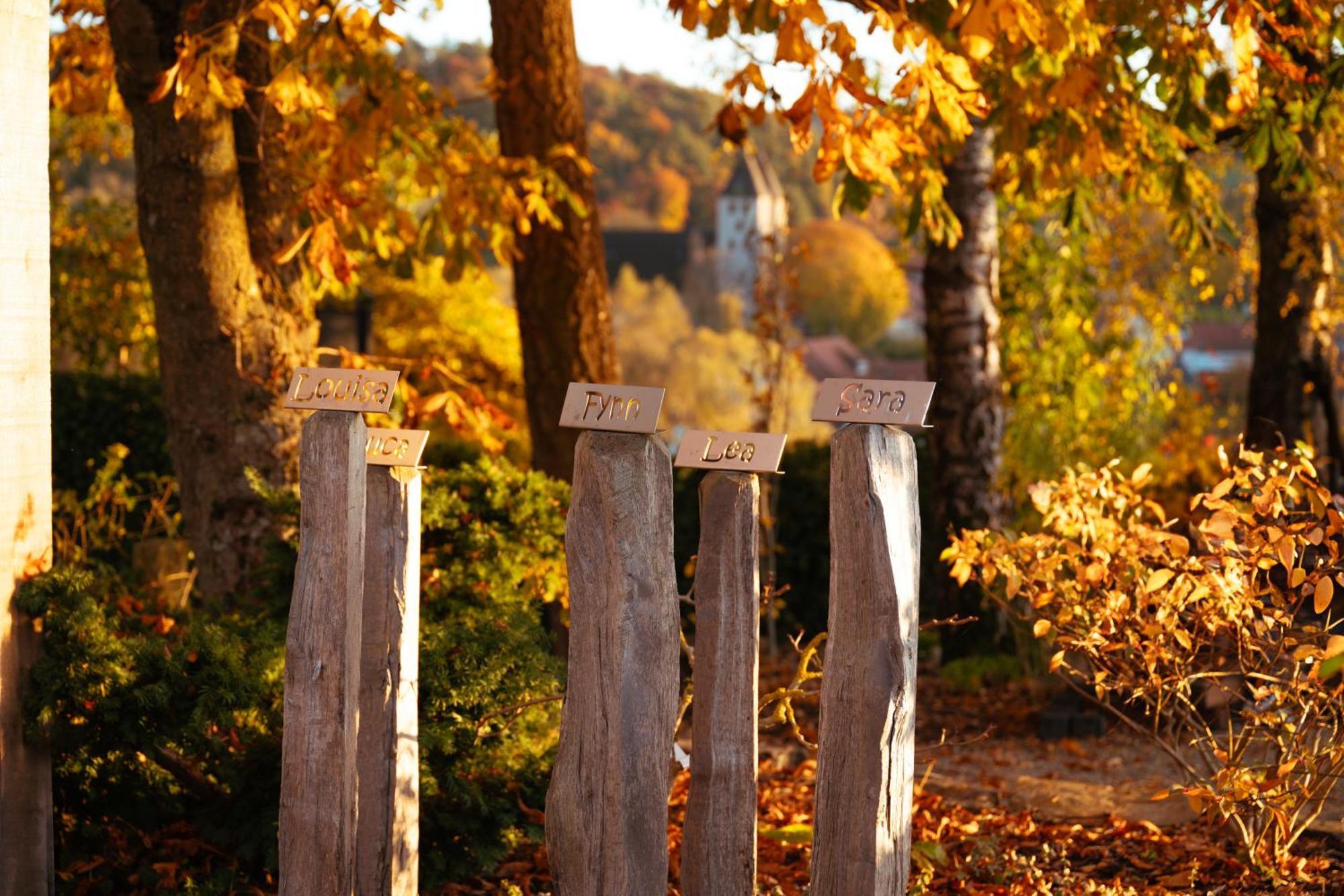 Sauerland-Tinyworld - Ihr Tiny Ferienhaus Im Sauerland Am Diemelsee Экстерьер фото