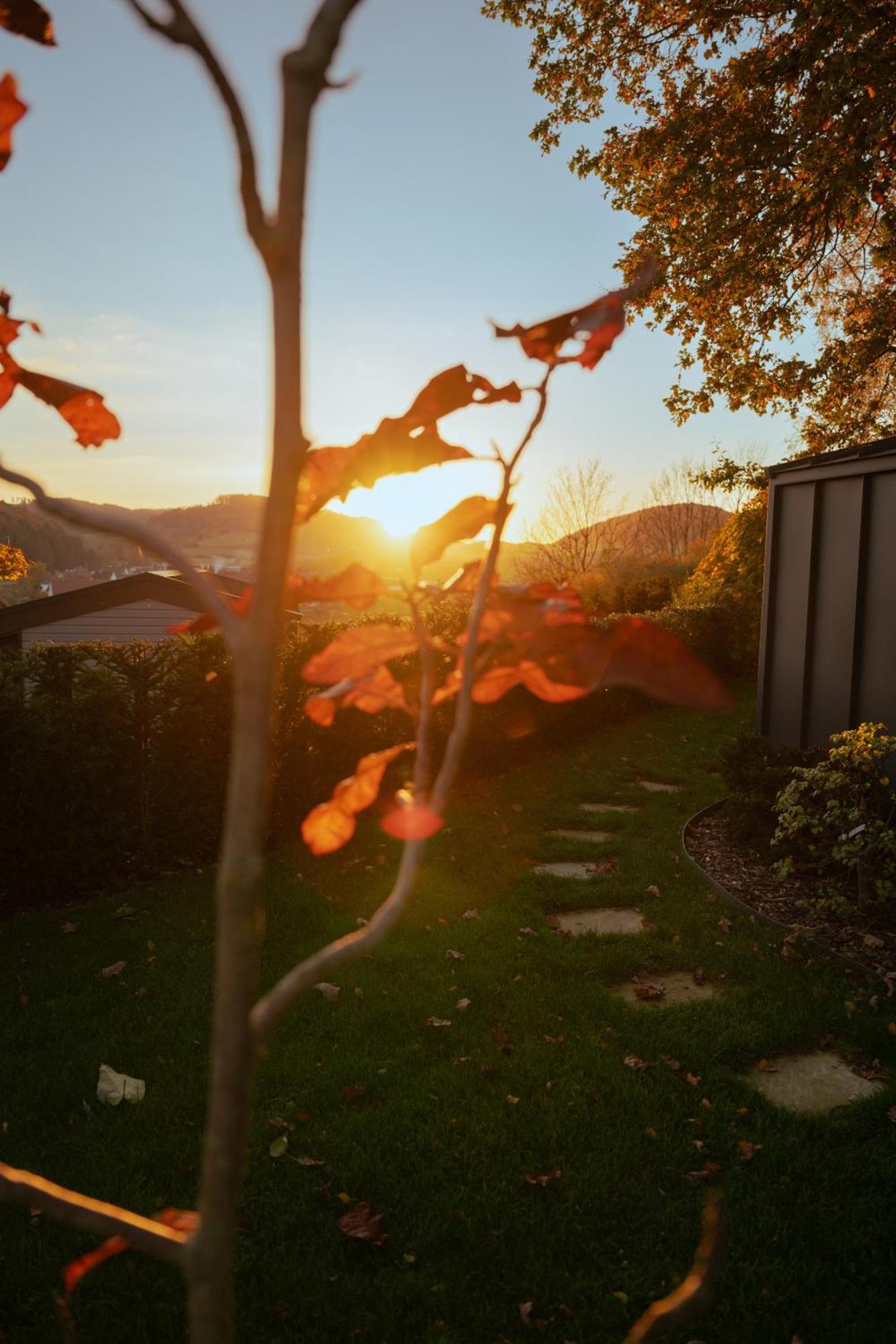 Sauerland-Tinyworld - Ihr Tiny Ferienhaus Im Sauerland Am Diemelsee Экстерьер фото